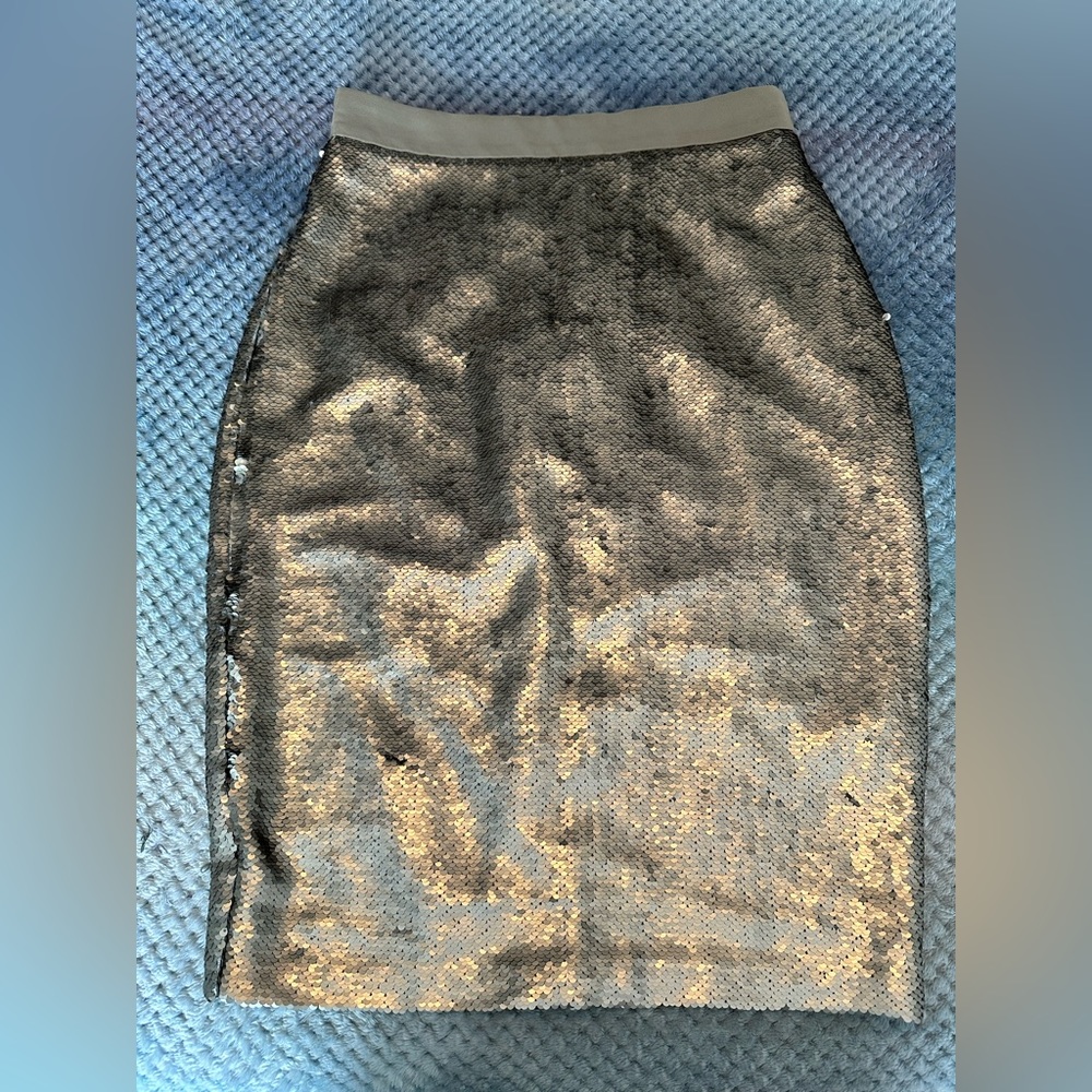 Banana Republic Champagne Sequin Pencil Skirt - Size 4 (Petite)